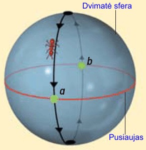 Ant going around Earth ball